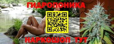 таблы Кингисепп