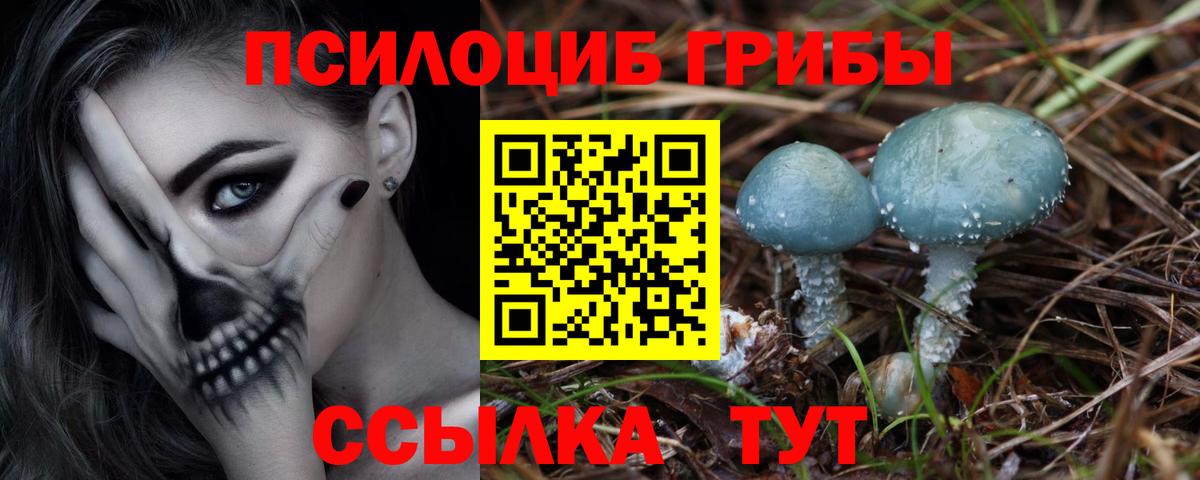 Псилоцибиновые грибы мухоморы Кисловодск